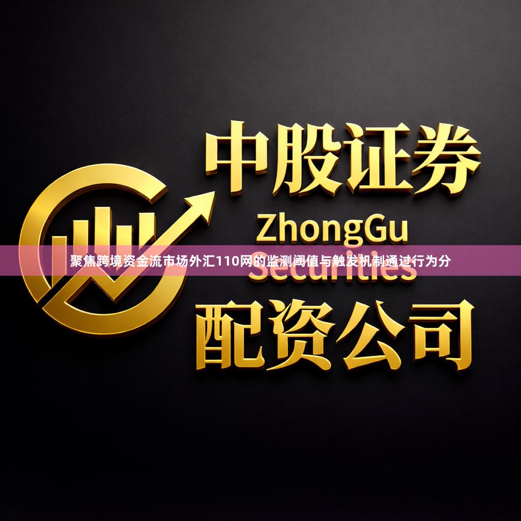 聚焦跨境资金流市场外汇110网的监测阈值与触发机制通过行为分