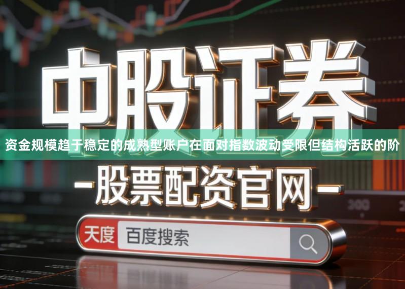 资金规模趋于稳定的成熟型账户在面对指数波动受限但结构活跃的阶