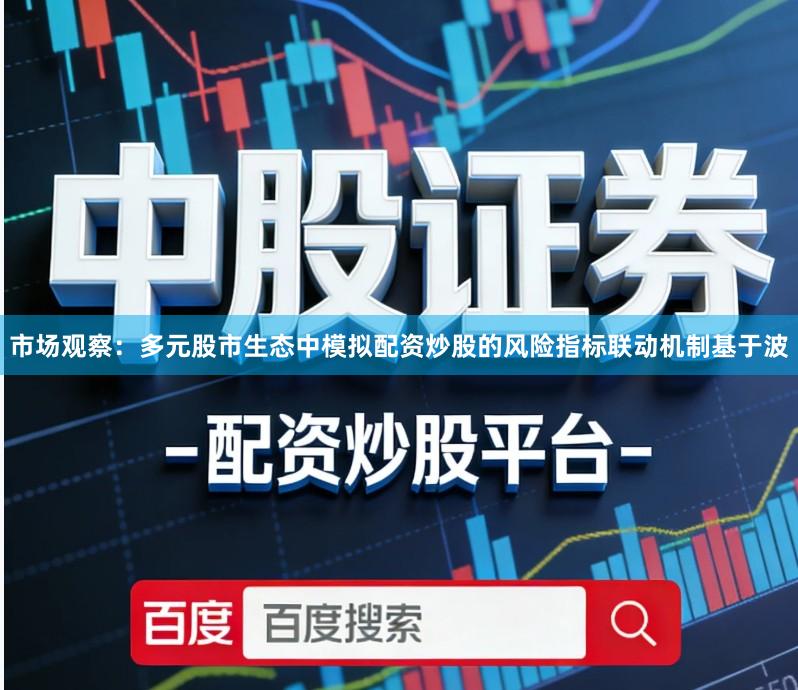 市场观察：多元股市生态中模拟配资炒股的风险指标联动机制基于波