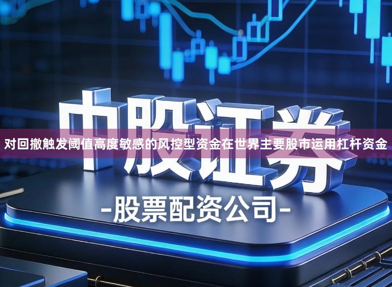 对回撤触发阈值高度敏感的风控型资金在世界主要股市运用杠杆资金