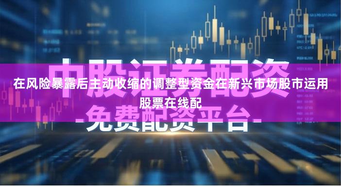 在风险暴露后主动收缩的调整型资金在新兴市场股市运用股票在线配