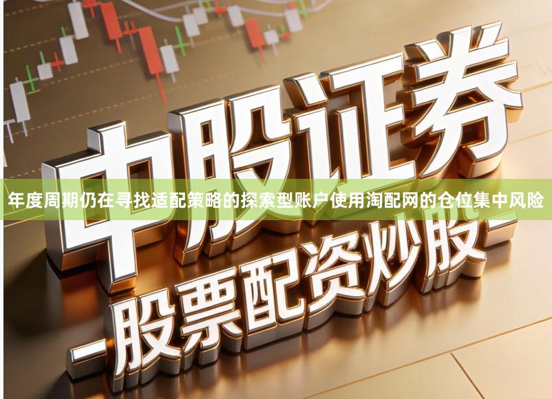 年度周期仍在寻找适配策略的探索型账户使用淘配网的仓位集中风险