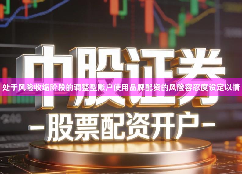 处于风险收缩阶段的调整型账户使用品牌配资的风险容忍度设定以情
