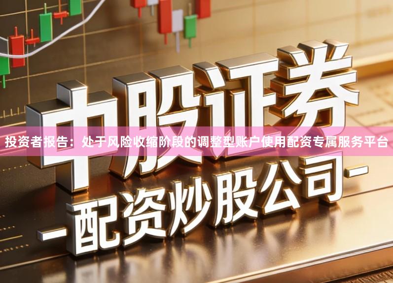 投资者报告：处于风险收缩阶段的调整型账户使用配资专属服务平台