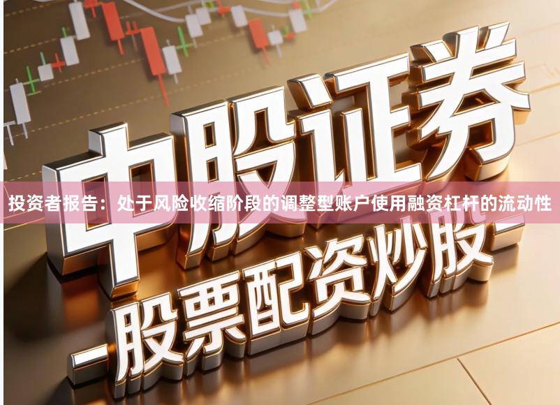 投资者报告：处于风险收缩阶段的调整型账户使用融资杠杆的流动性